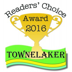 2016 Best Asian Resturant on Townelake, Woodstock, GA
